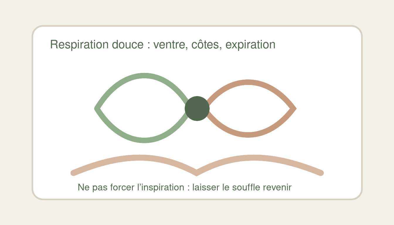 schéma simple de respiration abdominale et diaphragme en yoga