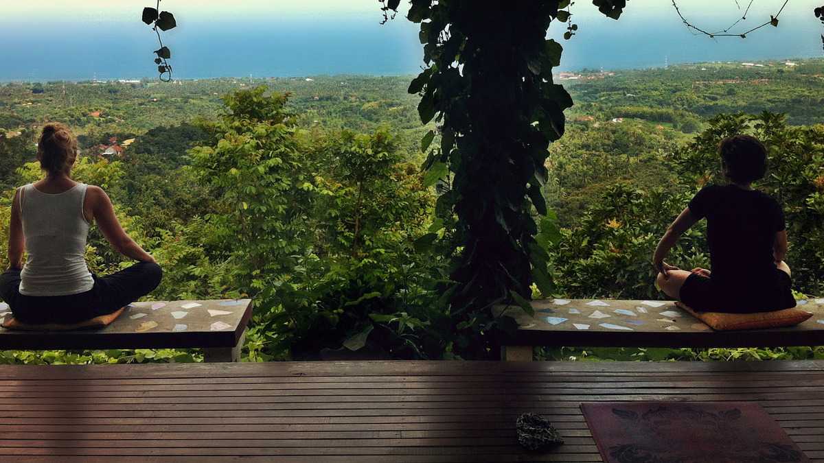 Salle de yoga calme ouverte sur la nature, ambiance propice à une pratique consciente du dharma et du karma yoga