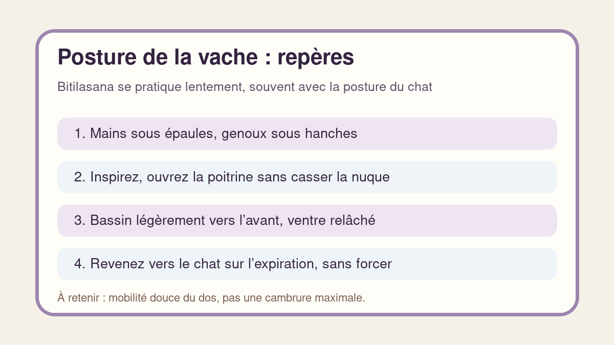 Repères de placement pour la posture de la vache en yoga