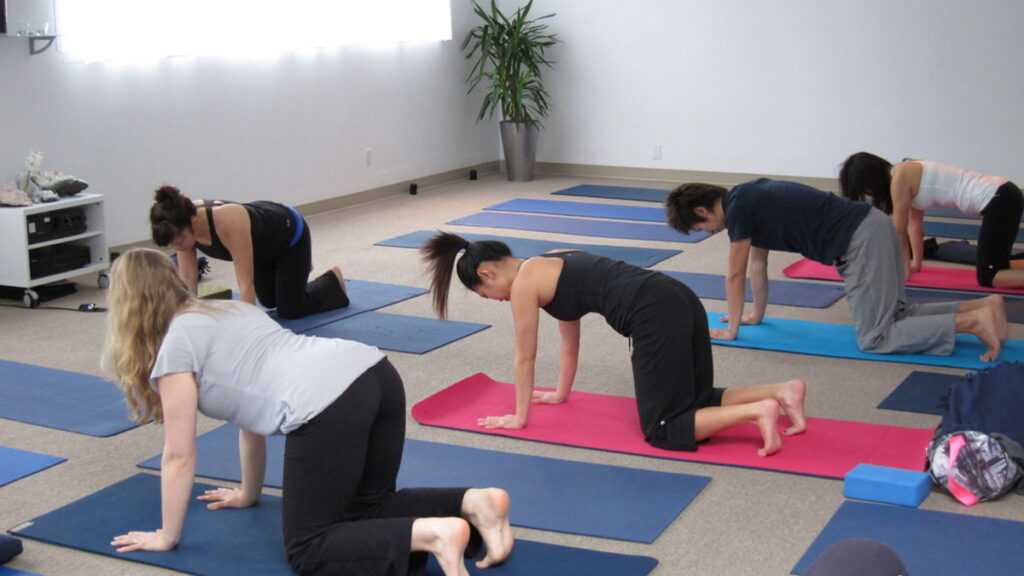 Cours de Hatha yoga en intérieur pour illustrer le choix d’un type de yoga débutant